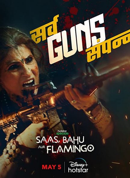 دانلود سریال هندی Saas, Bahu Aur Flamingo 2023 ( مادر عروس ، عروس و فلامینگو ) با زیرنویس فارسی